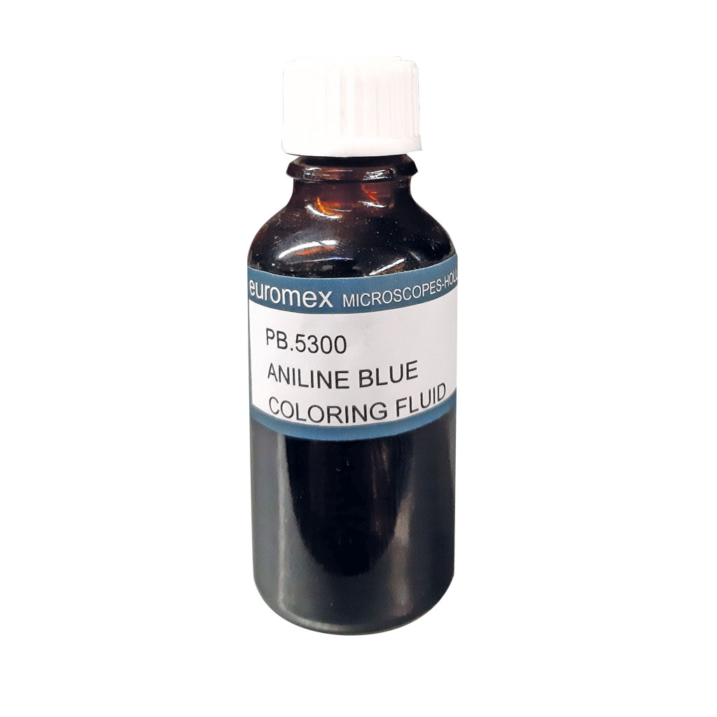 Auf diesem Bild ist das Produkt mit der Art.Nr.: W-21598 zu sehen