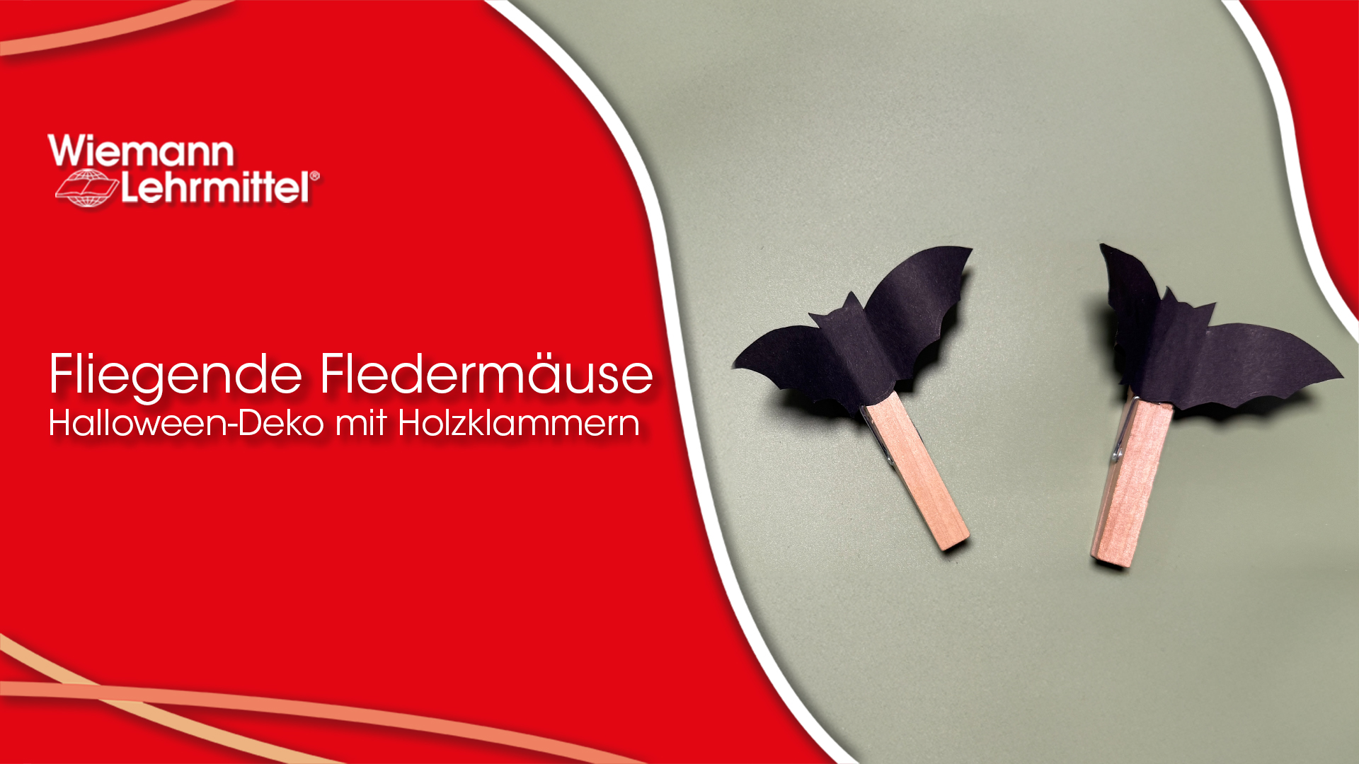 Video_zu_M-91638_Fledermaus_Holzklammern_Wiemann-Lehrmittel