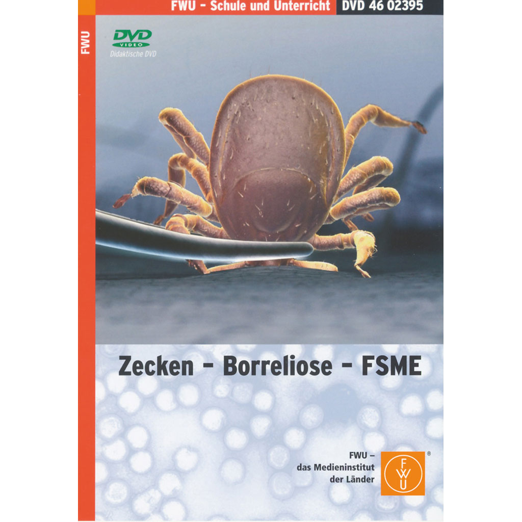 Zecken - Borreliose - FSME