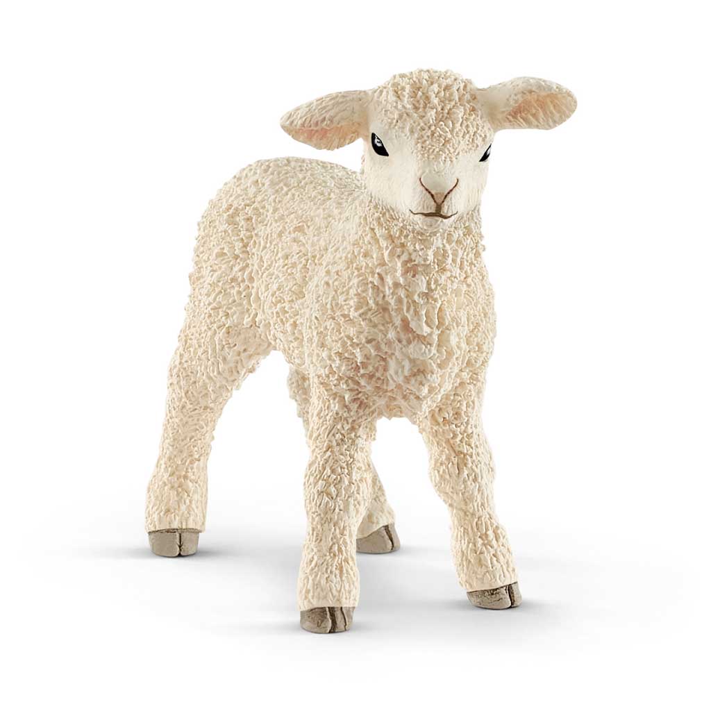 tempschleich_lamm_wiemann_lehrmittel_82537 Auf diesem Bild ist das Produkt mit der Art.Nr.: W-82537 zu sehen