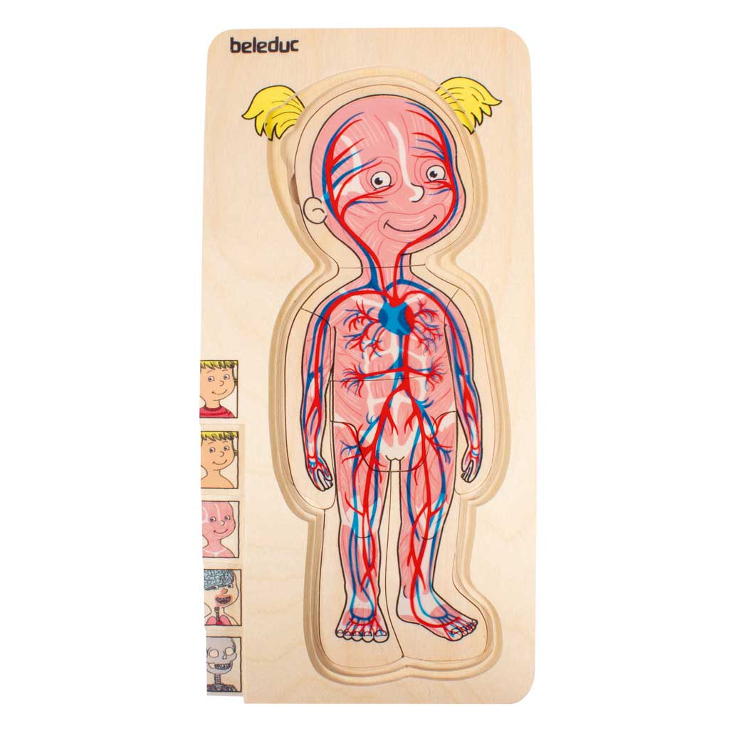 Lagenpuzzle „Körper“
