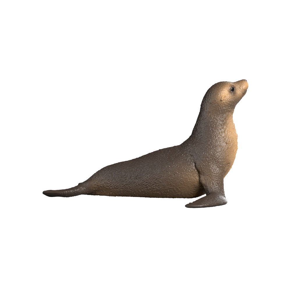 Schleich® Seelöwe