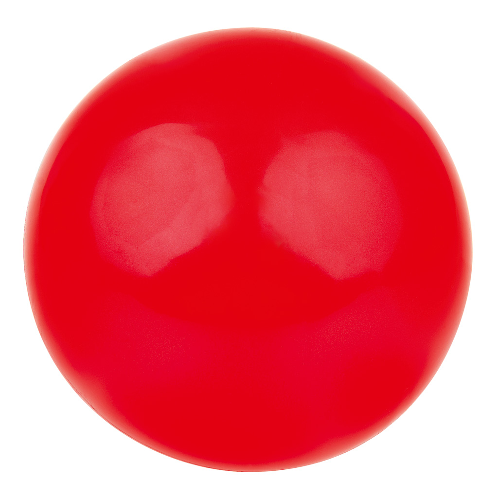 Wiemann Lehrmittel® Spielball