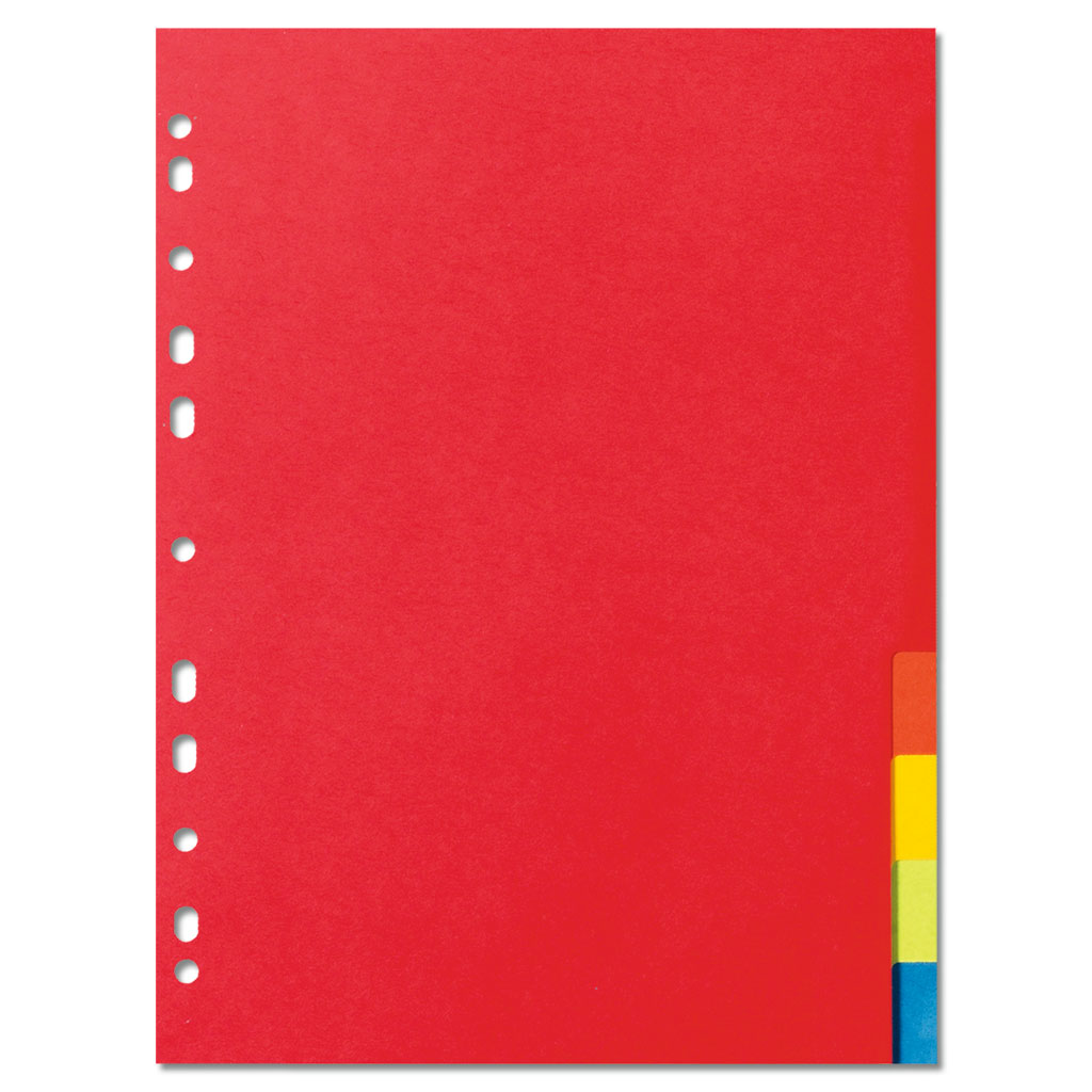 Kartonregister DIN A4