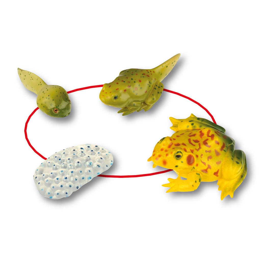 temp22322jWdXPtVA2FJ4S Auf diesem Bild ist das Produkt mit der Art.Nr.: W-22322 zu sehen