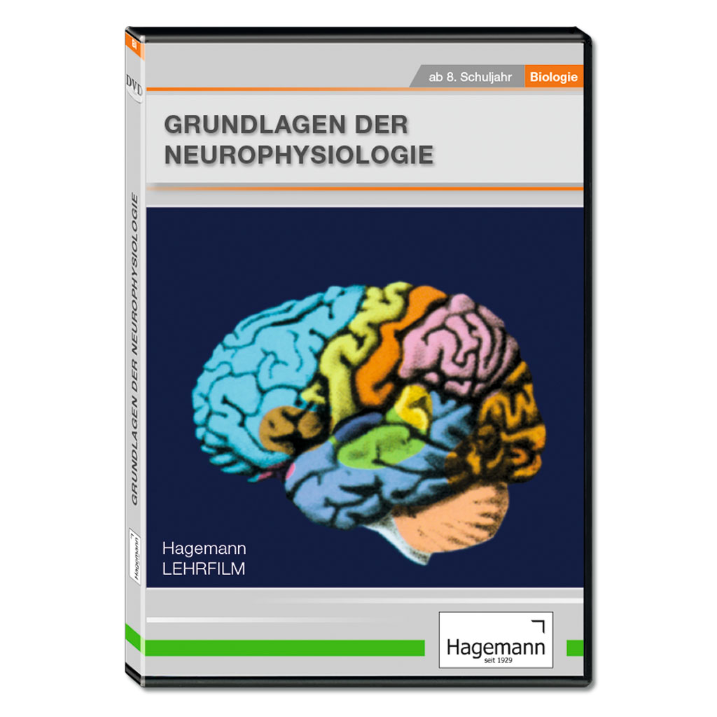 Grundlagen der Neurophysiologie