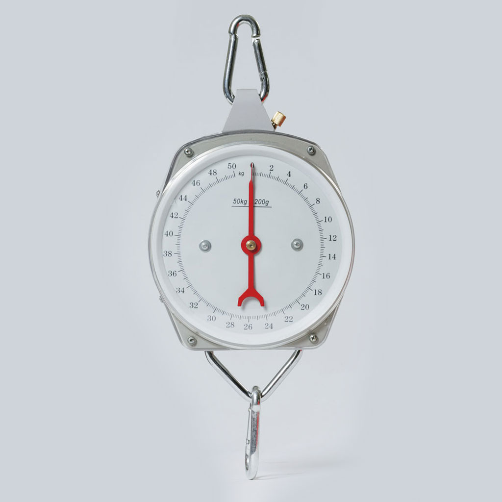 Zeigerschnellwaage 50 kg