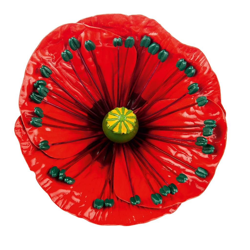 Klatschmohn-Blüte + Knospe