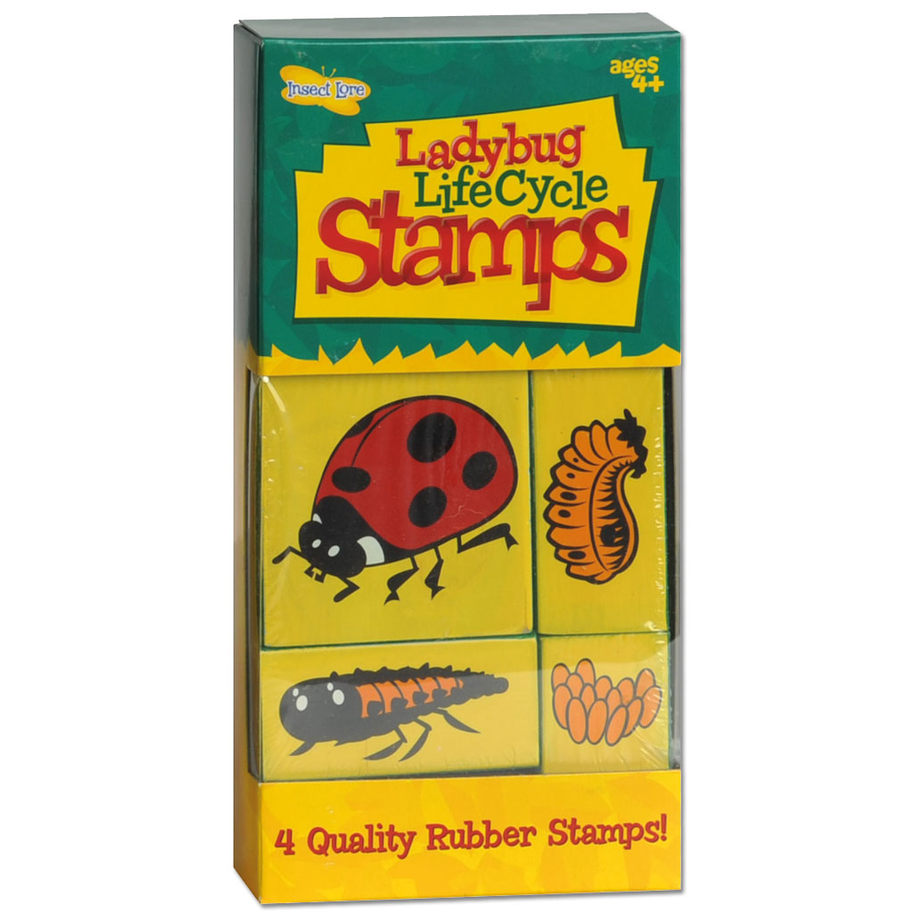 temp80323Rftgqrcw14B0o Tierstempel Entwicklungsstadium der Marienkäfer