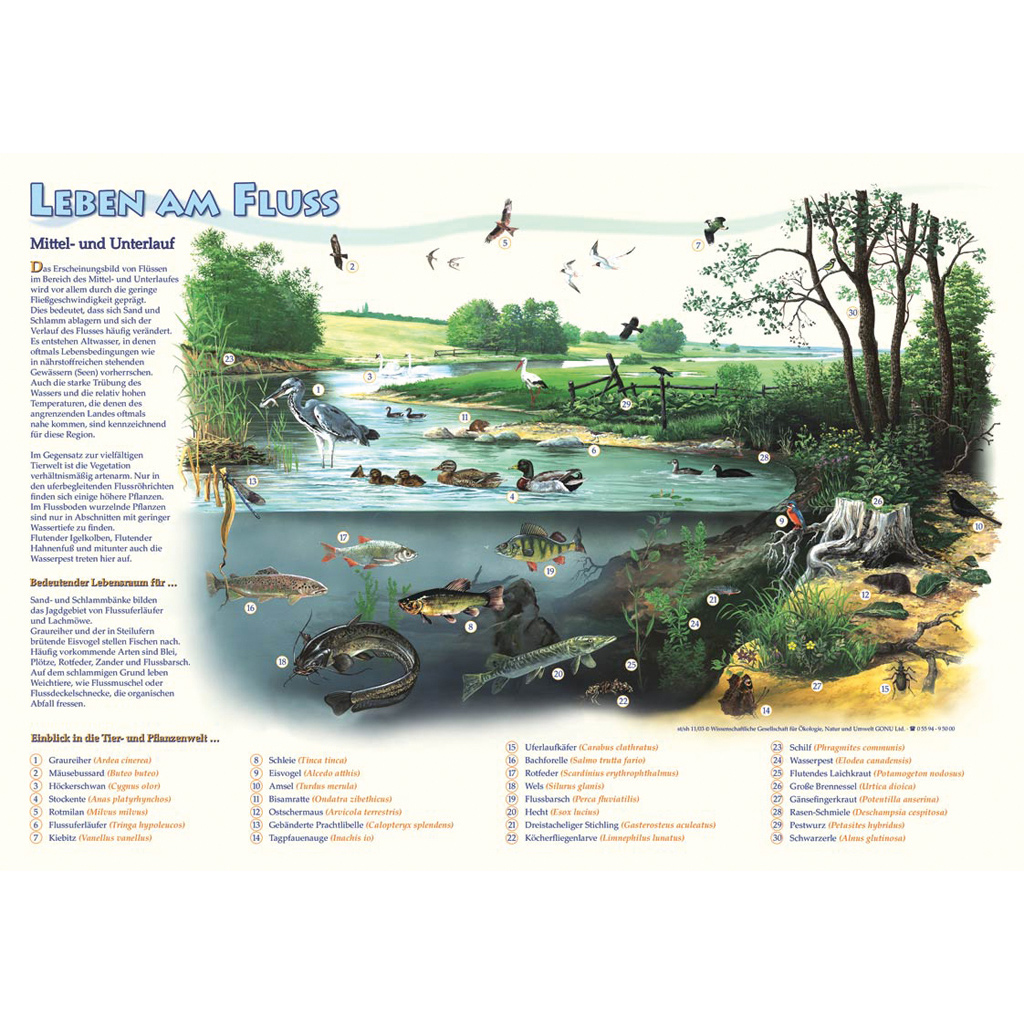 Leben am Fluss - Poster wetterfest