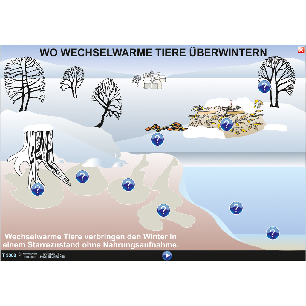 Interaktive digitale Tafelbilder ÖKOLOGIE 3