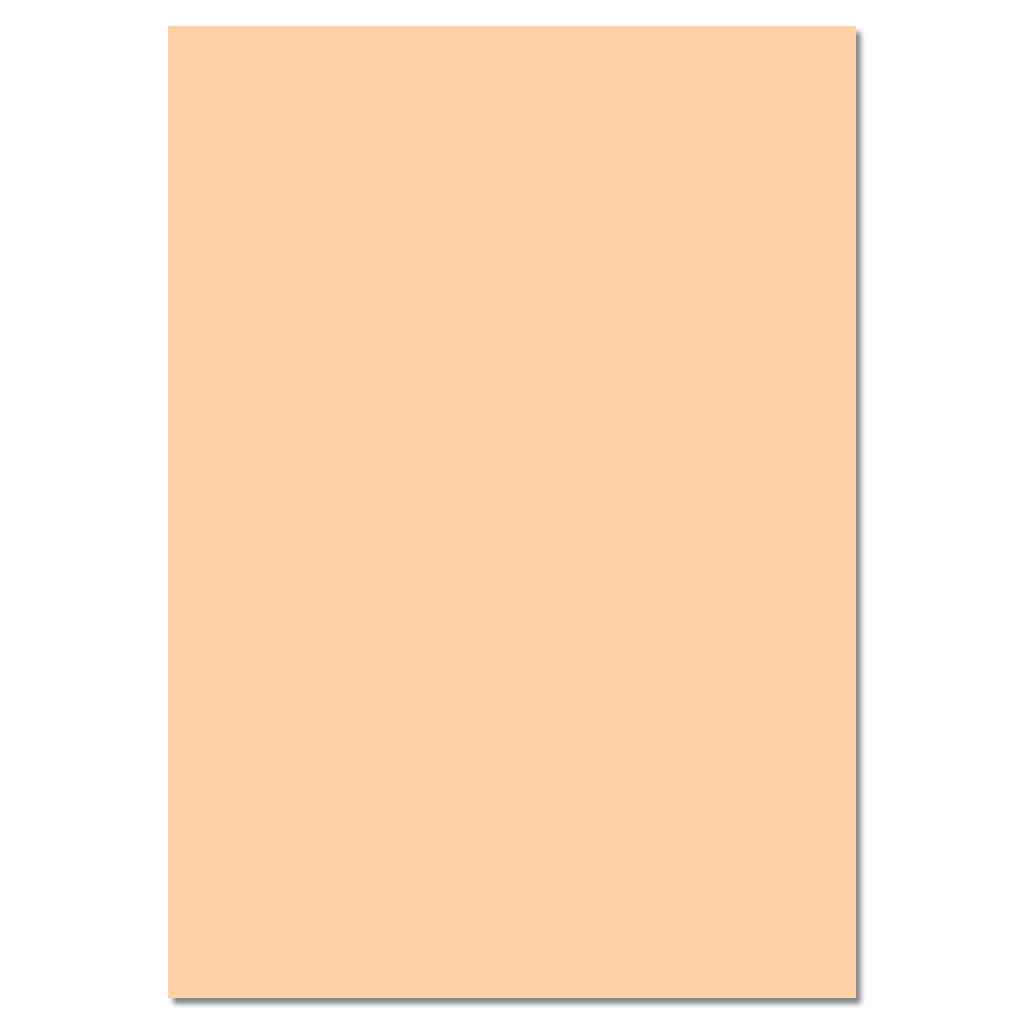 temp90001-22-tonzeichenpapier-apricose_neusLH2MvnKqzjgD Tonzeichenpapier 130 g/m²
