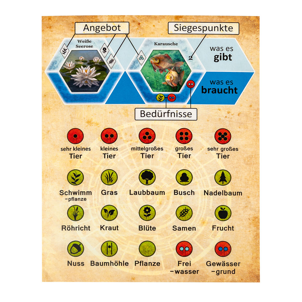 Ecogon Stille Wasser