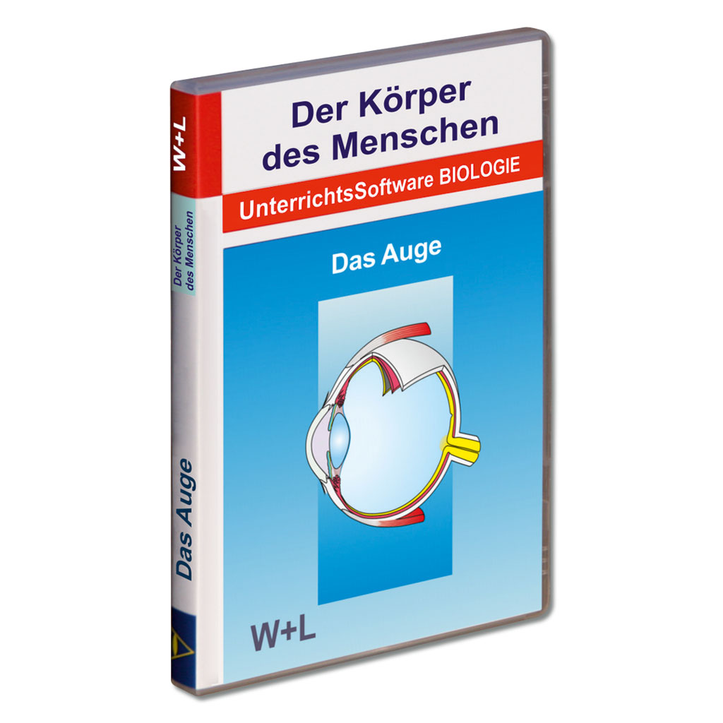 Der Körper des Menschen - Das Auge