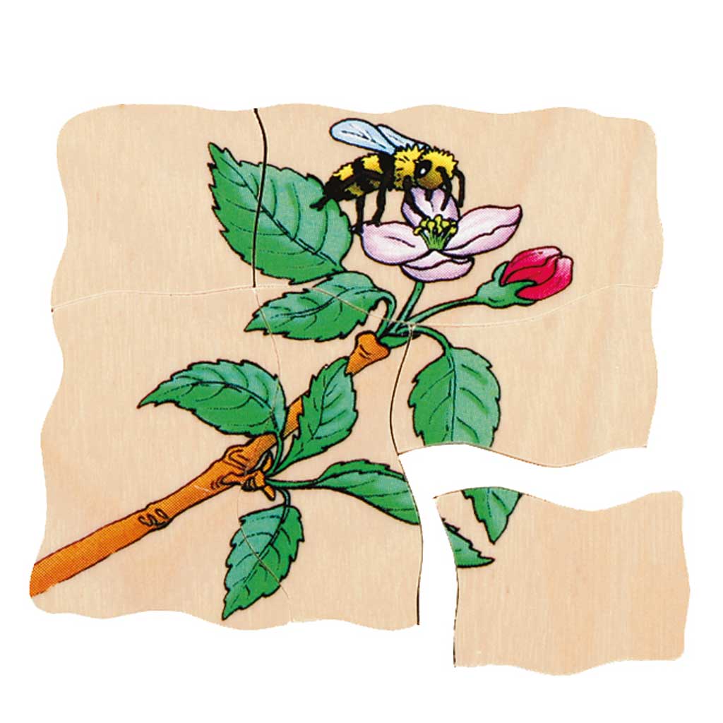 Lagenpuzzle Apfel