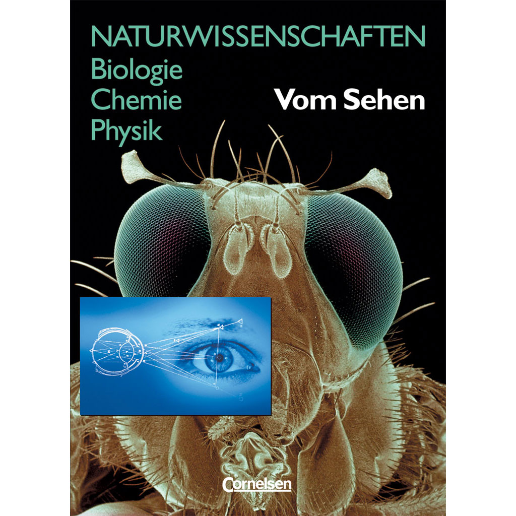temp70822_dtQkT8JOOjWQ2M Funktionsmodell Menschliches Auge