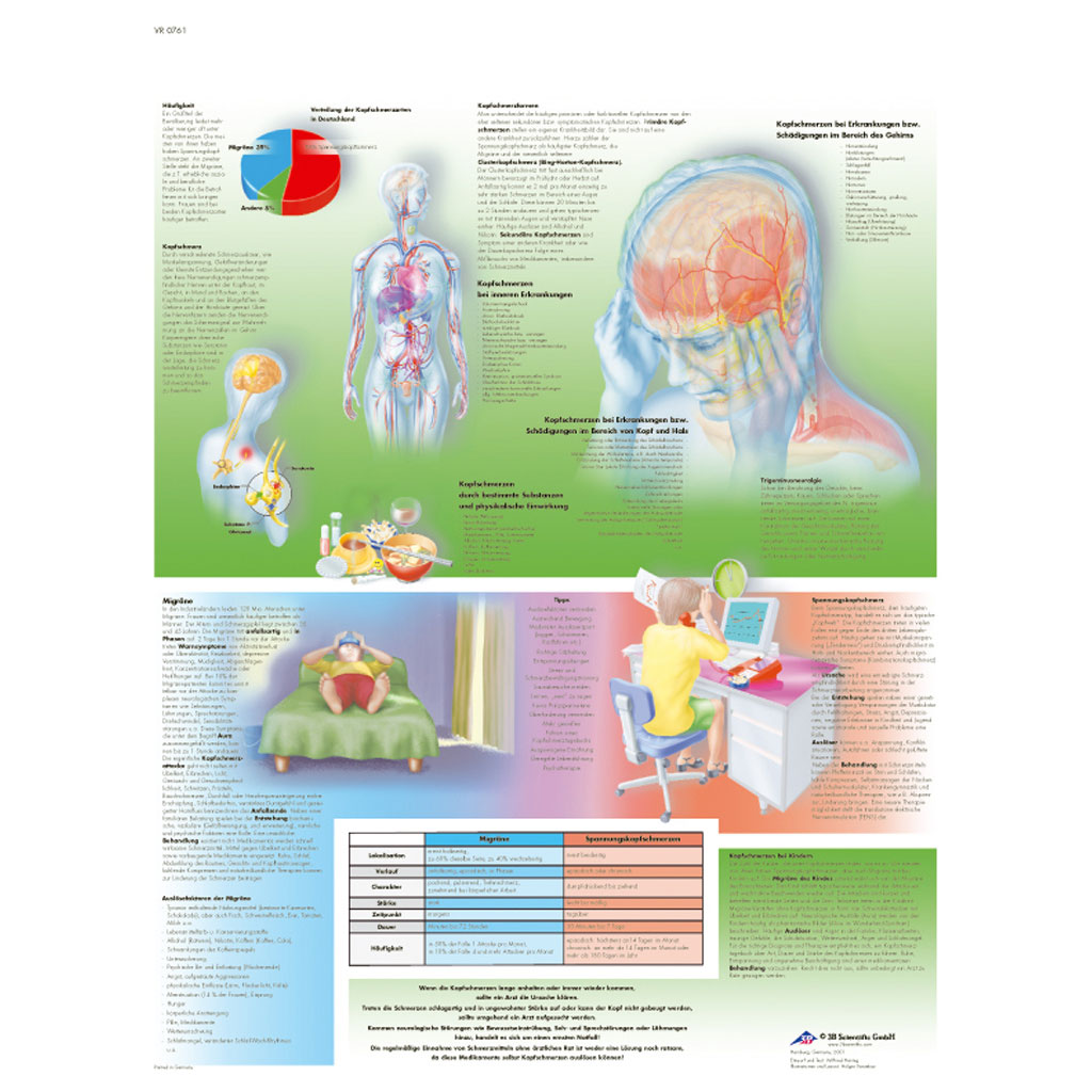 Kopfschmerzen - Poster