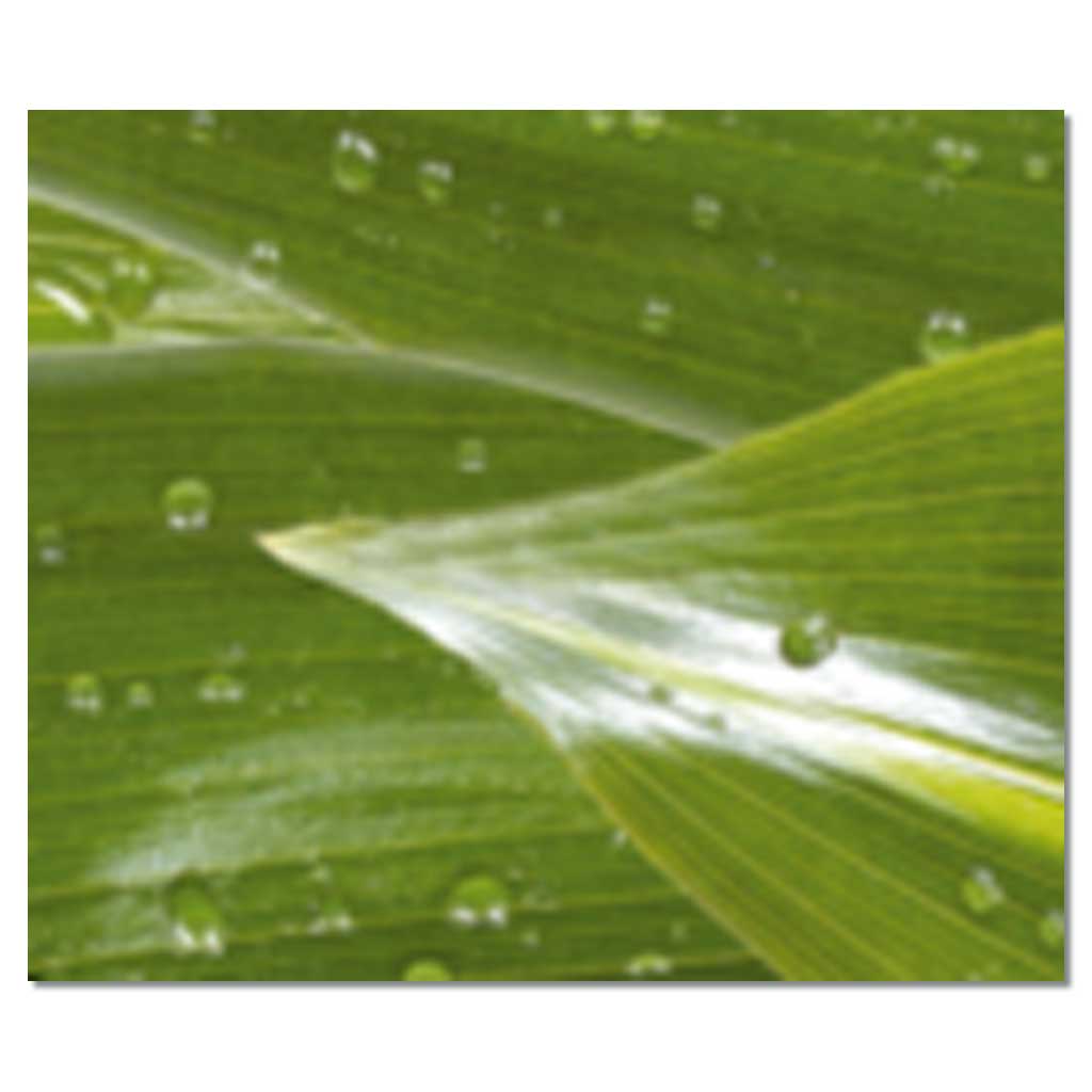 Großer Bogen Transparentpapier mit Muster