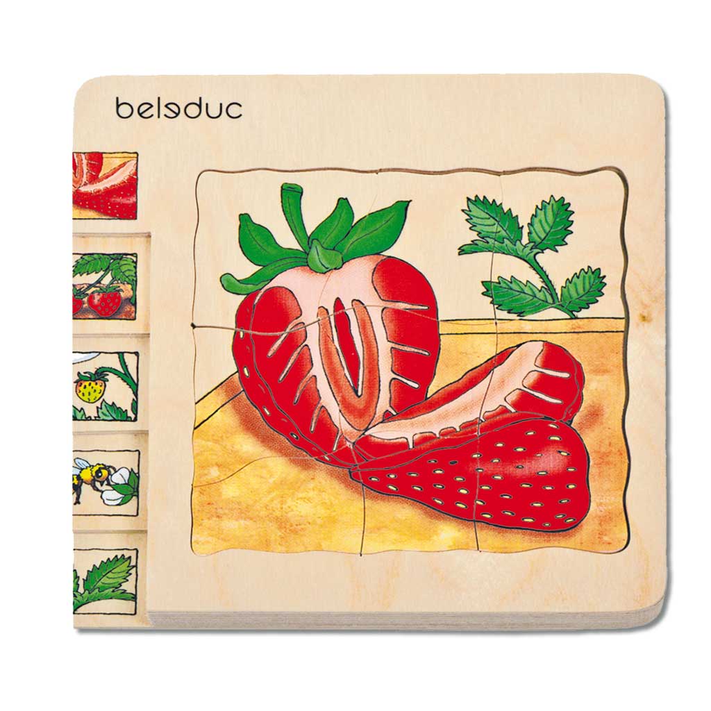 Lagenpuzzle Erdbeere