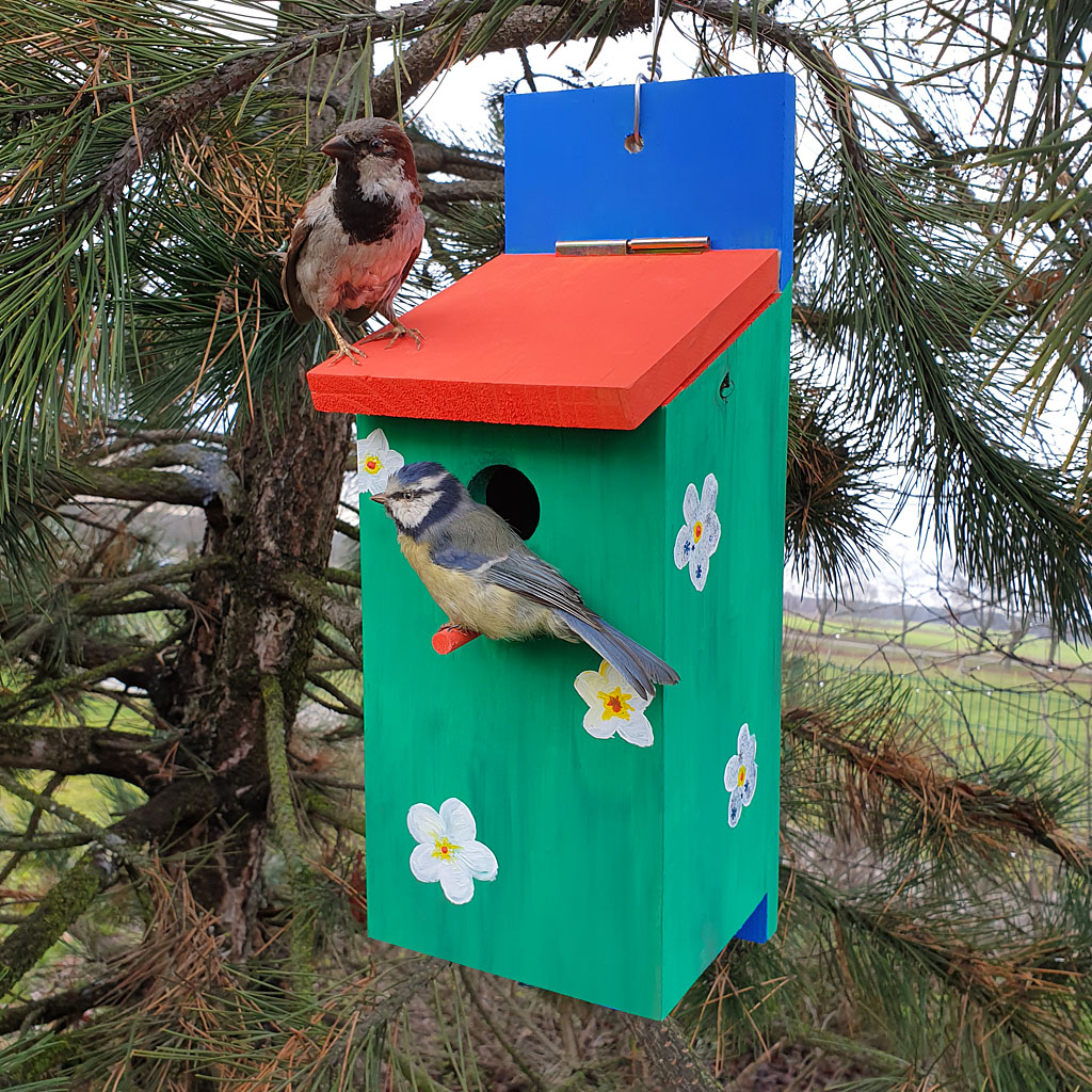 temp91496_1z1yFgQcWTbhuF Nistkasten – Bausatz für Kinder