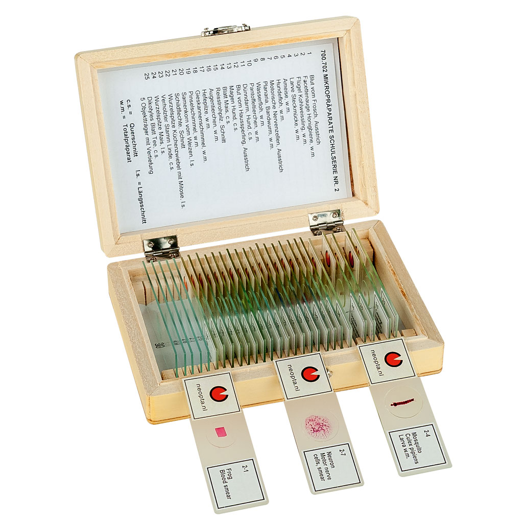 Schulserie 2