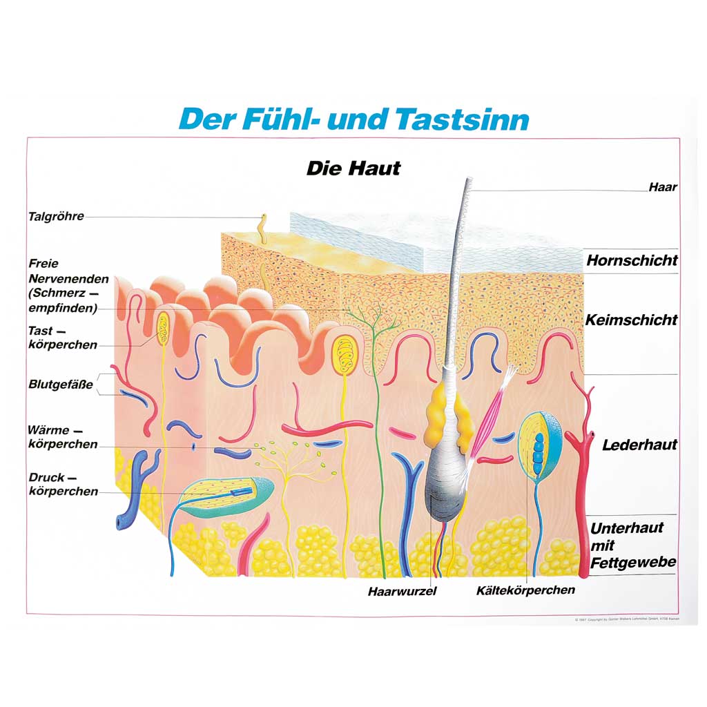 Schautafel , 70 x 90 cm