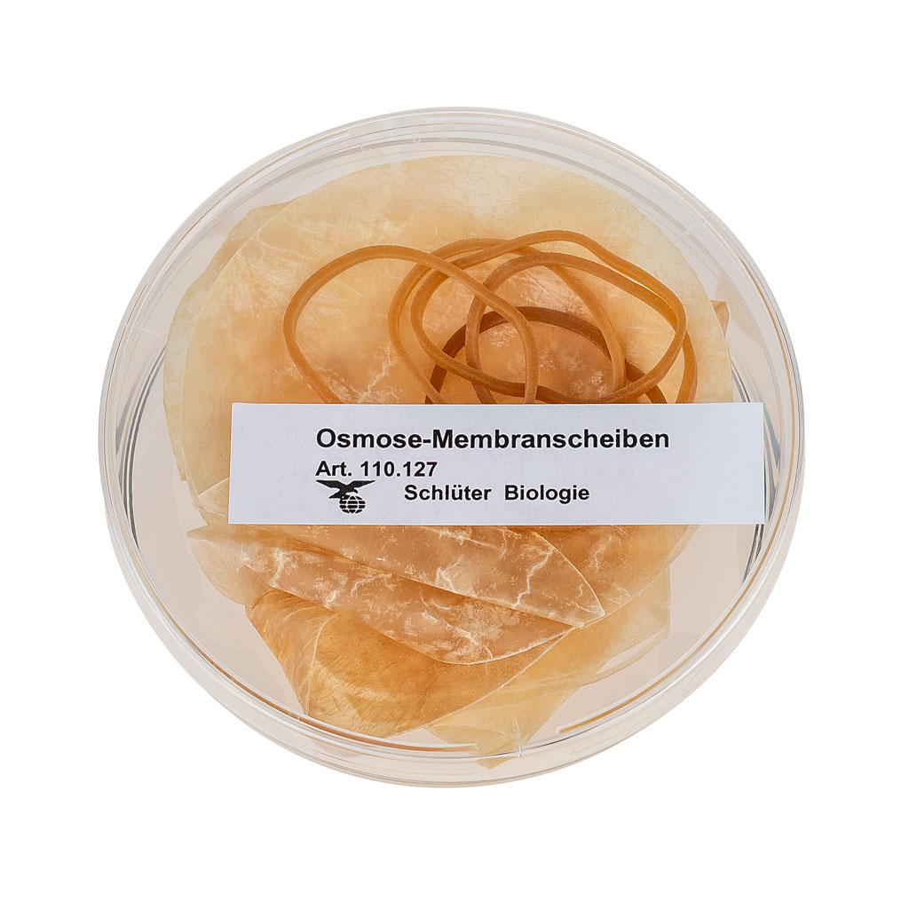 Osmose-Membranscheiben