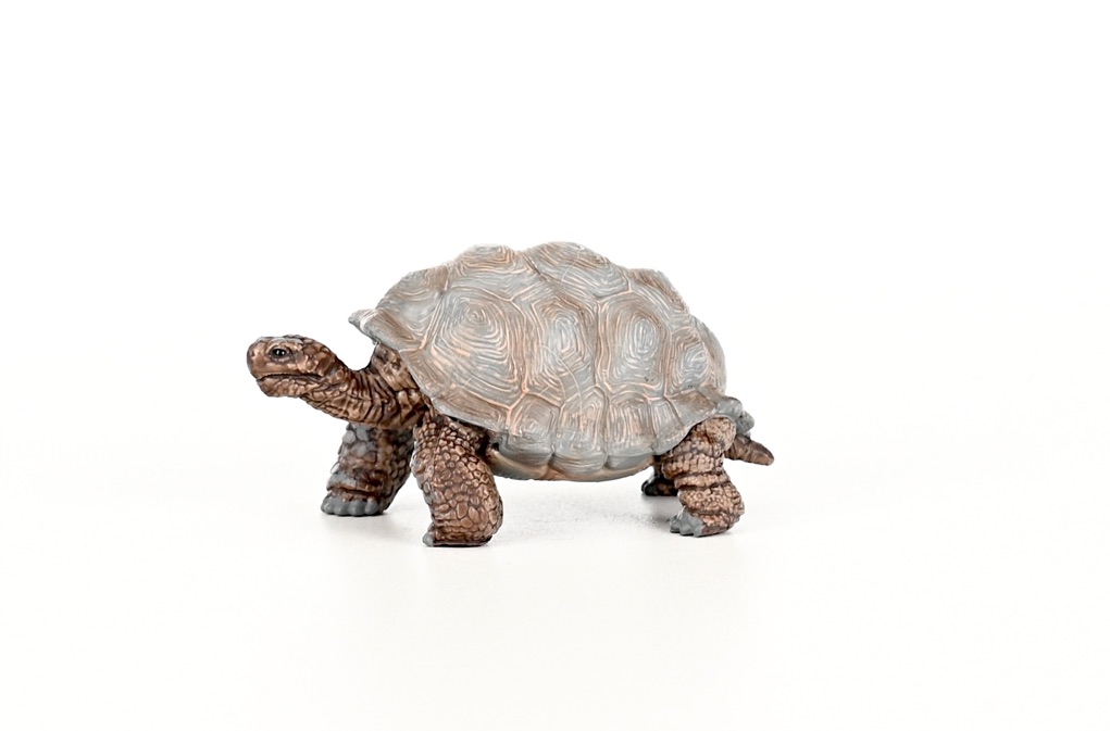 Schleich® Riesenschildkröte