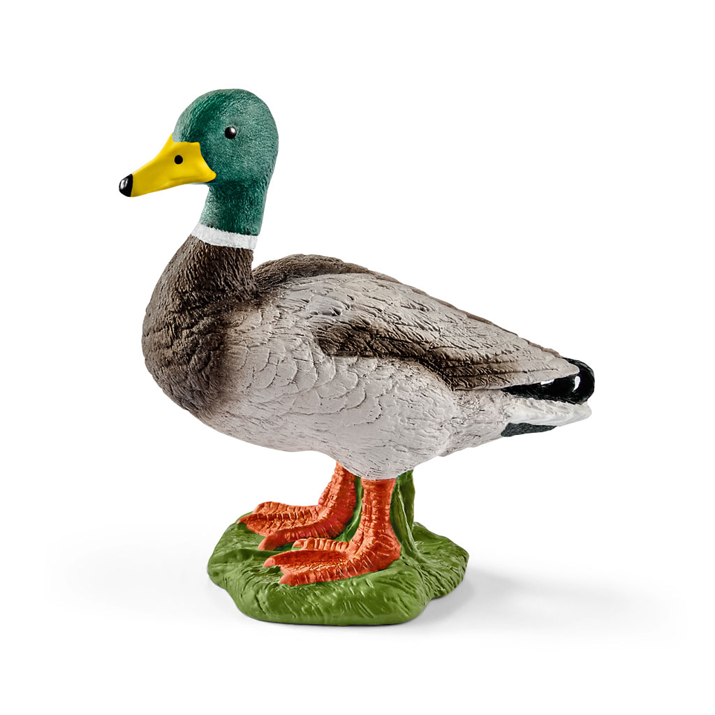 temp81890-schleich-erpelWyh4tsQ0nyiZE Schleich® Erpel