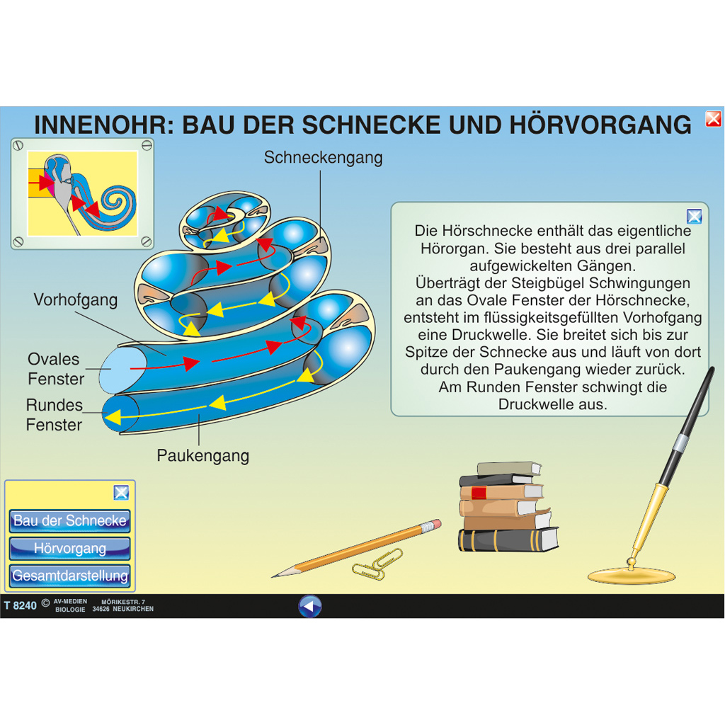 Interaktive digitale Tafelbilder HUMANBIOLOGIE 2