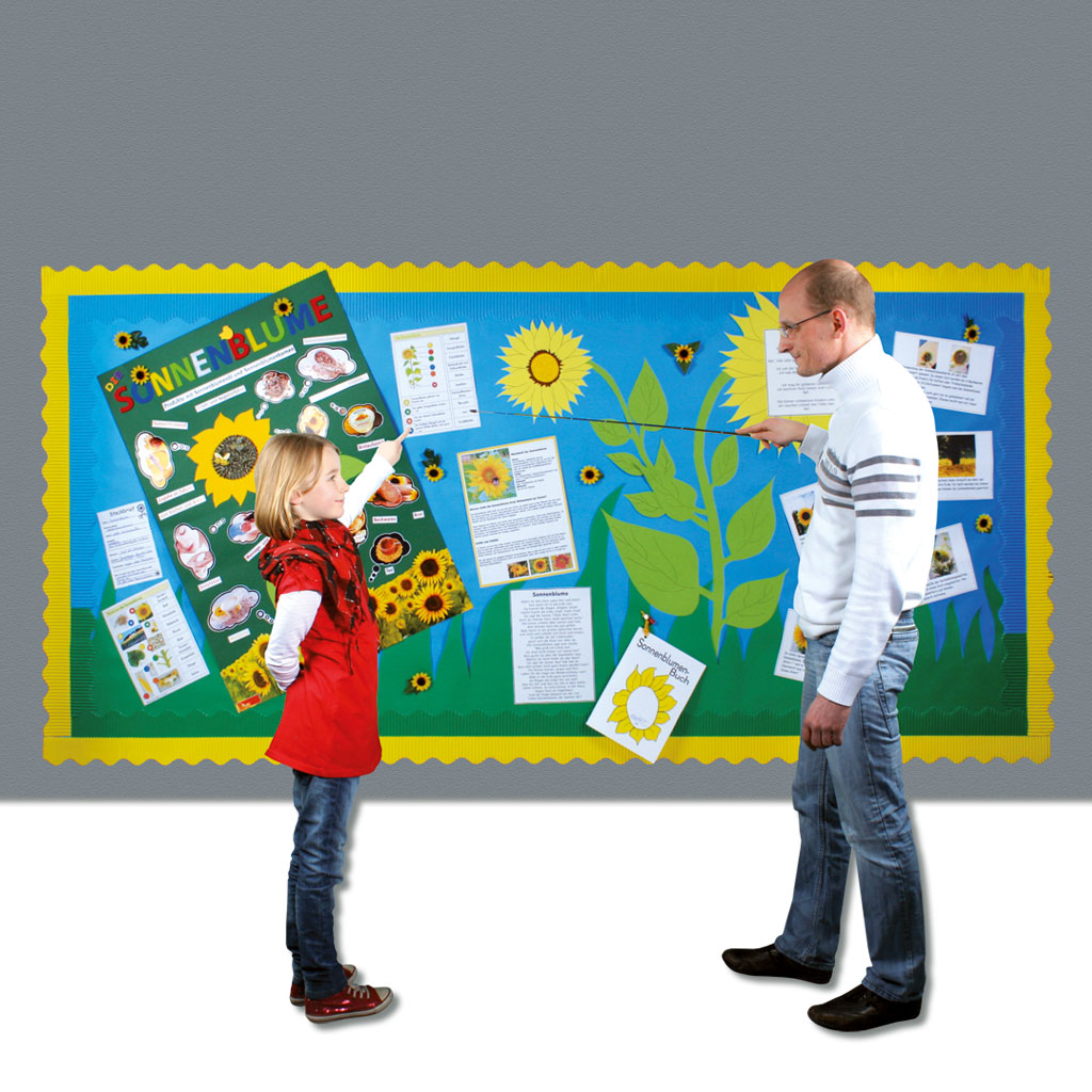 temp91261a-grundfarbenset-bordueren-papierLiDTDZtkMzi5N Bordüren- & Papierset