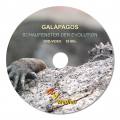 Galápagos – Schaufenster der Evolution