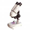 Stereomikroskop - Lichtmikroskop