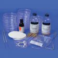 Grundlagenexperiment - Großer Bio-Enzym-Kit