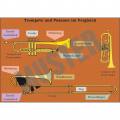 Transparent: Trompete und Posaune im Vergleich