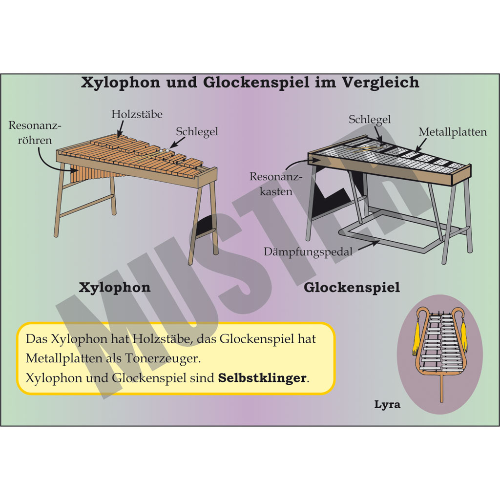 Transparent: Xylophon und Glockenspiel im Vergleich